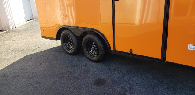 2020 ANVIL 8.5 X 14 ENCLOSED  for sale at Mull's Auto Sales