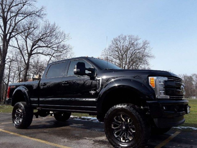 2017 FORD F250 SUPER DUTY for sale at Action Motors