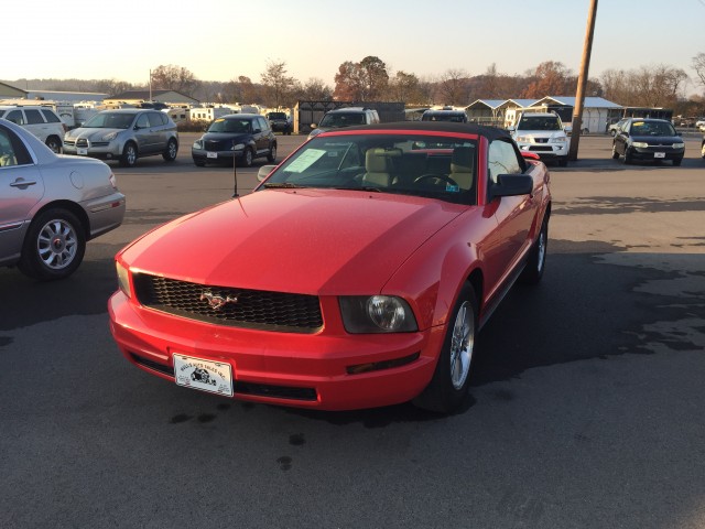 2005 Ford Mustang V6 Premium Convertible for sale at Mull's Auto Sales